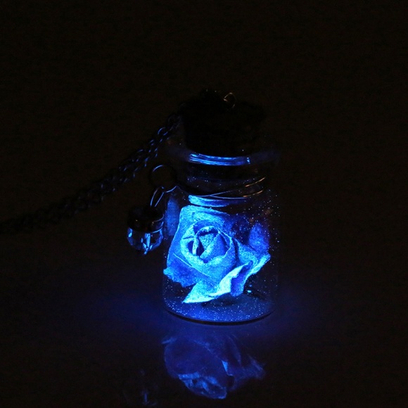 Blue Rose Wish Bottle Necklace - Picture 7 of 7